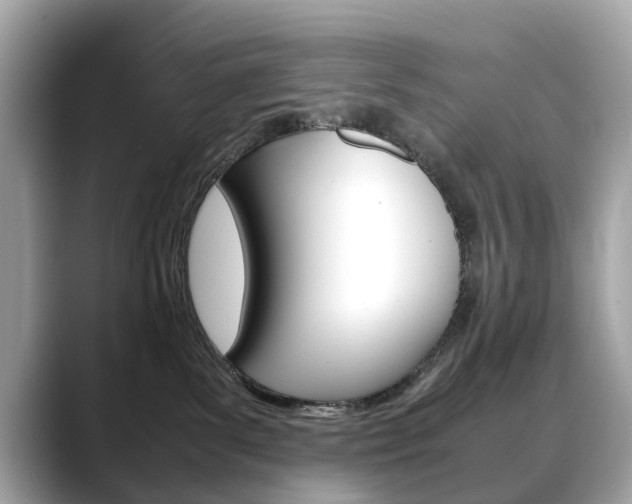 X0000088720139200705311104