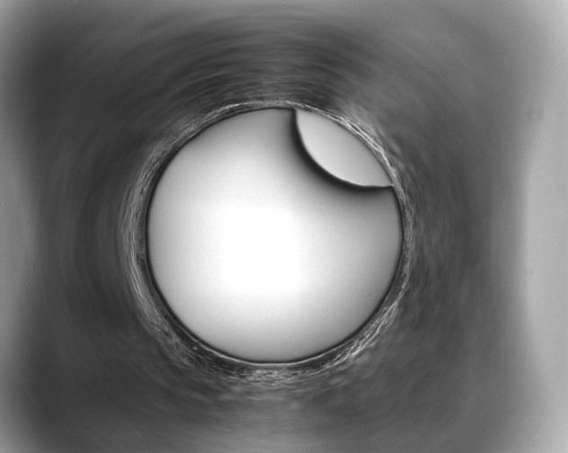 X0000088720145200705311103