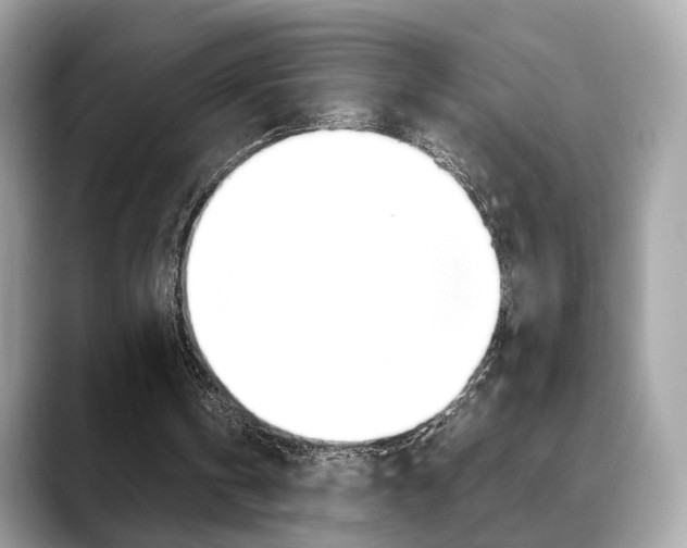 X0000088720146200705311103