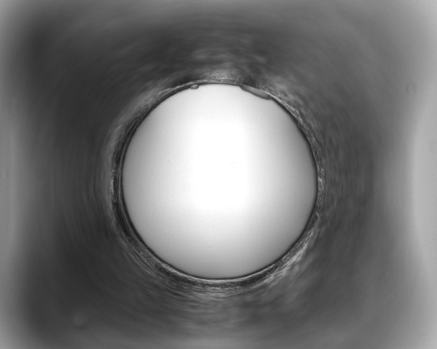X0000088720149200705311103