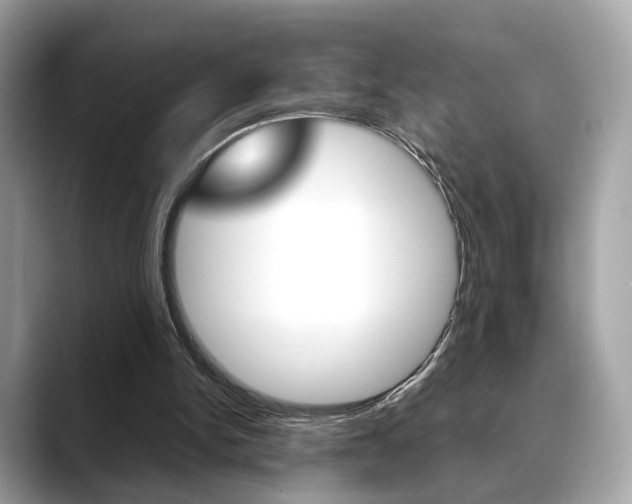 X0000088720150200705311103