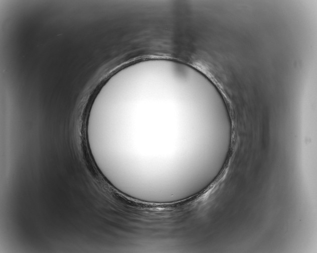 X0000088720151200705311103