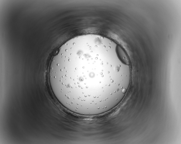 X0000088720153200705311103