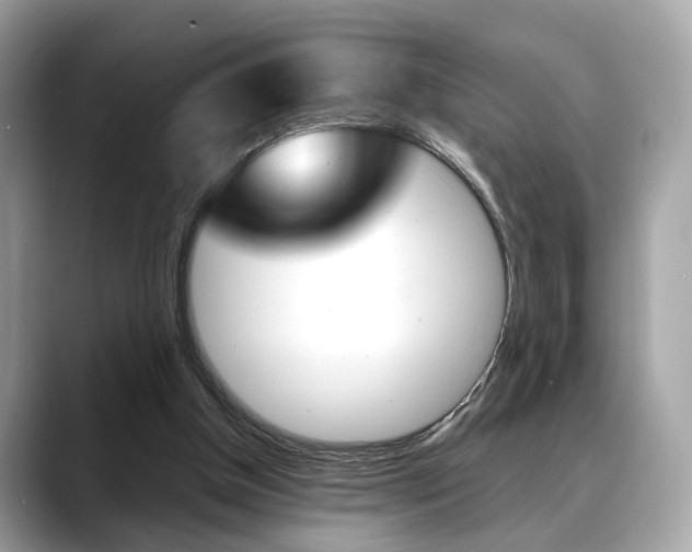 X0000088720154200705311103