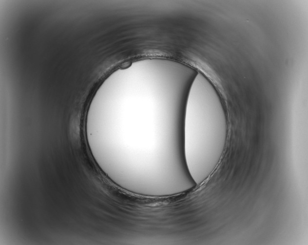 X0000088720155200705311103
