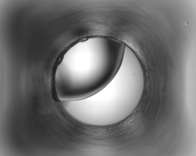 X0000088720156200705311103