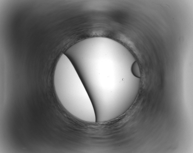 X0000088720161200705311103