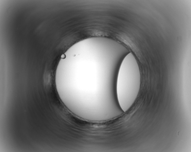X0000088720165200705311103