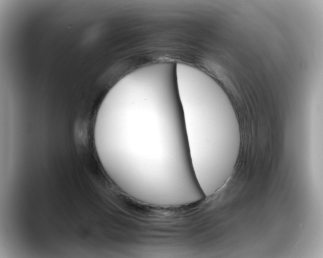 X0000088720167200705311103