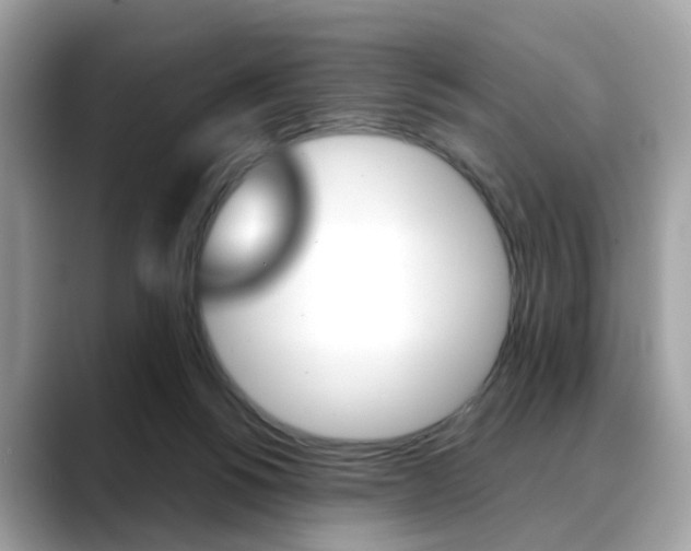 X0000088720168200705311103