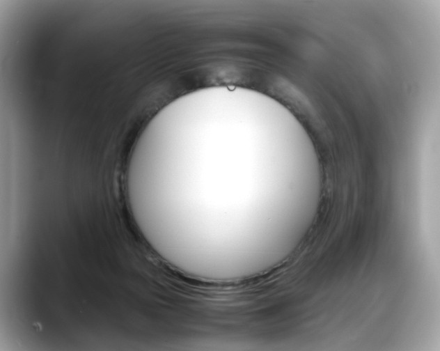 X0000088720169200705311103