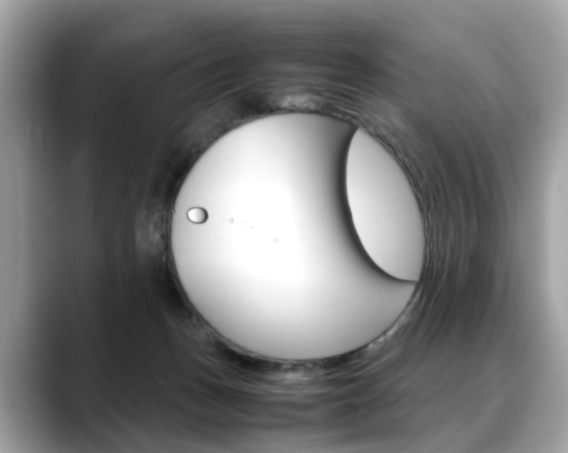 X0000088720175200705311104