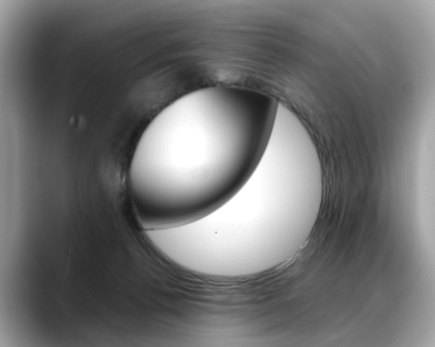 X0000088720176200705311104