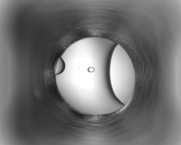 X0000088720182200705311104
