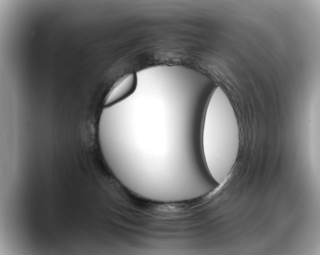 X0000088720183200705311104
