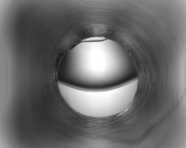 X0000088720184200705311104