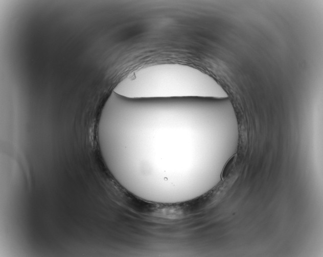 X0000088720185200705311104