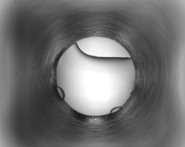 X0000088720189200705311104