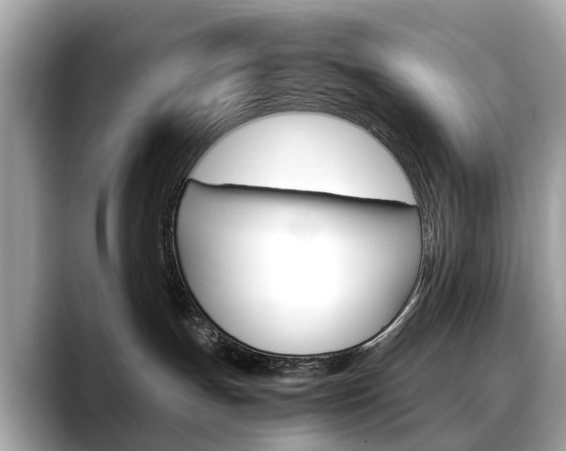 X0000088720191200705311104