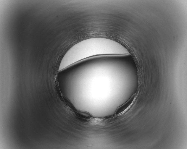 X0000088720192200705311104