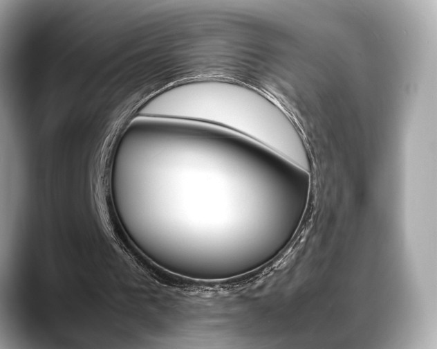 X0000088720193200705311103