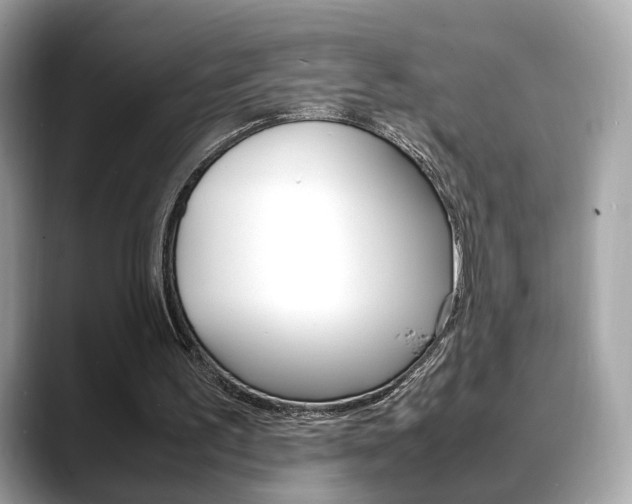 X0000088720195200705311103