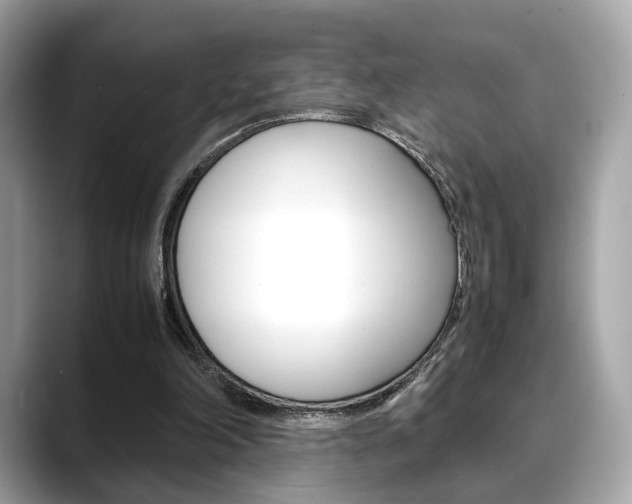 X0000088720198200705311103
