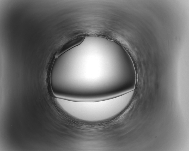 X0000088720201200705311103