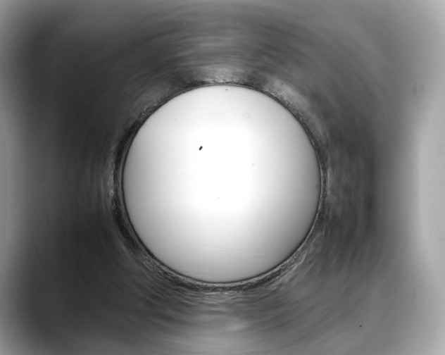 X0000088720202200705311103