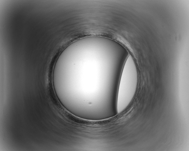 X0000088720203200705311103