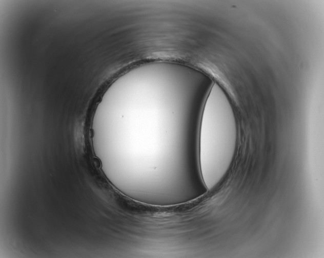 X0000088720204200705311103