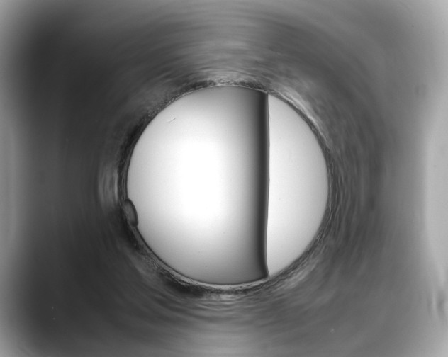 X0000088720205200705311103