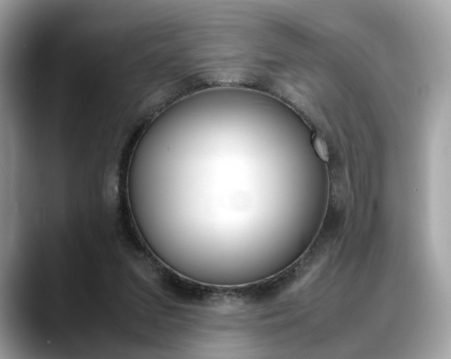X0000088720207200705311103