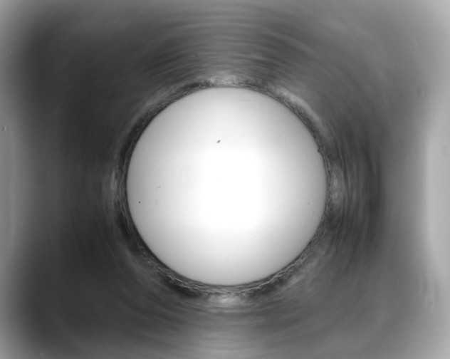 X0000088720208200705311103