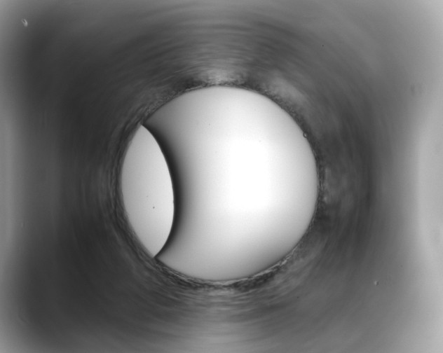 X0000088720210200705311103