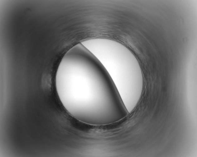 X0000088720211200705311103
