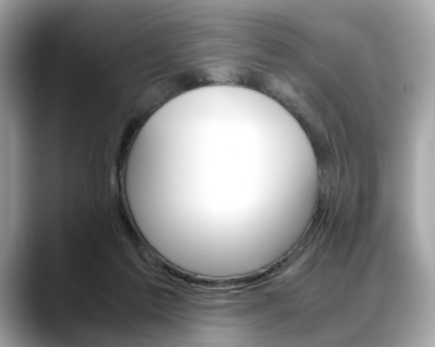 X0000088720213200705311103