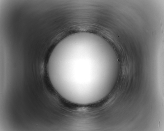 X0000088720216200705311103