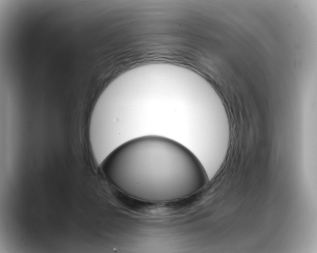 X0000088720219200705311103