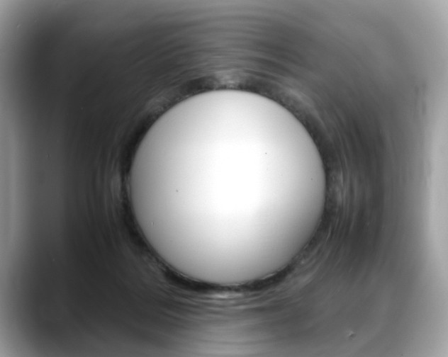 X0000088720220200705311103