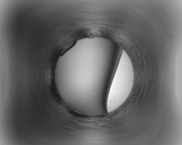 X0000088720223200705311103