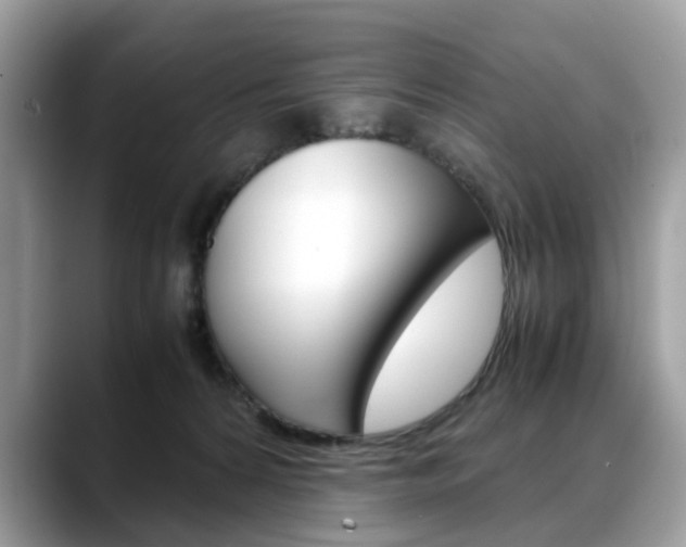 X0000088720224200705311103