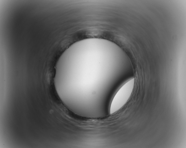 X0000088720227200705311103