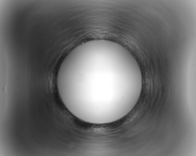 X0000088720228200705311103