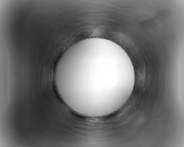 X0000088720230200705311103