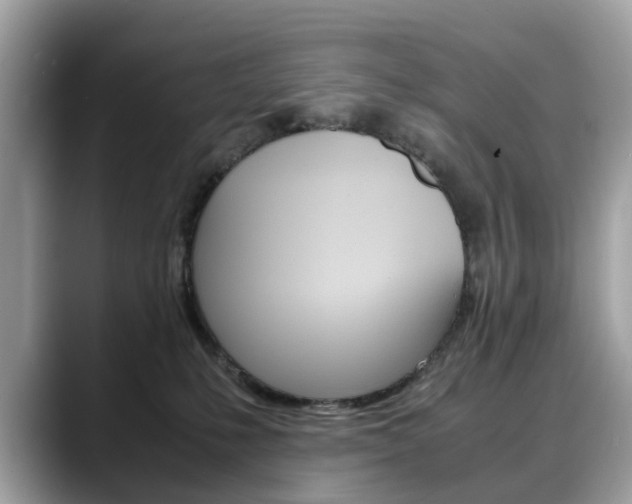 X0000088720231200705311103