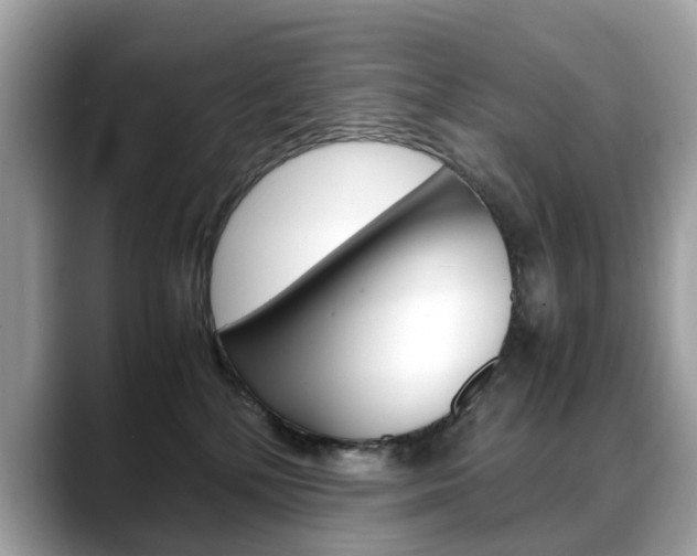 X0000088720232200705311103