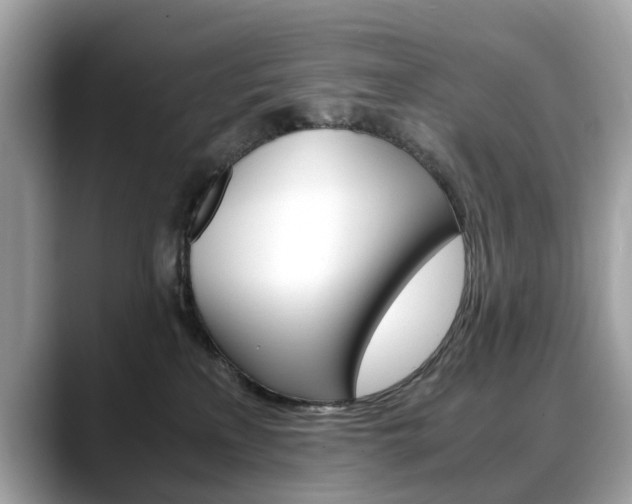 X0000088720233200705311103