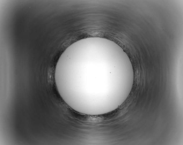 X0000088720234200705311103