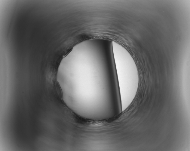 X0000088720235200705311103